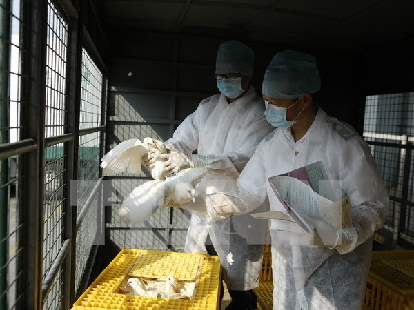 China discovers first H7N9 case in 2015