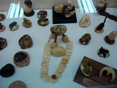 - Exposition d’artisanat et de photos du Panama à Hanoi