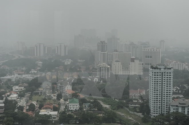 Southeast Asian businesses lose millions of USD due to haze