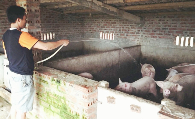 Niềm vui của những hộ mới thoát nghèo