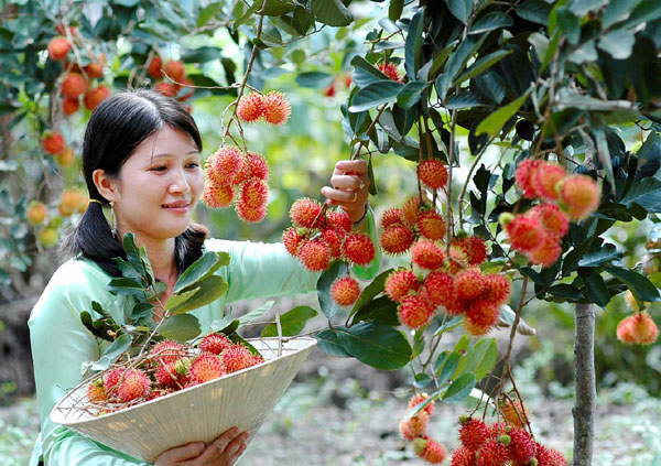New Zealand agriculture and food experts to enhance commercial collaboration in Vietnam