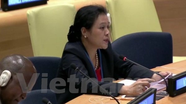 Le Vietnam soutient une application de la loi conforme aux principes de la Charte de l ONU