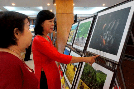 广义省在工业化、现代化、发展和融入进程中