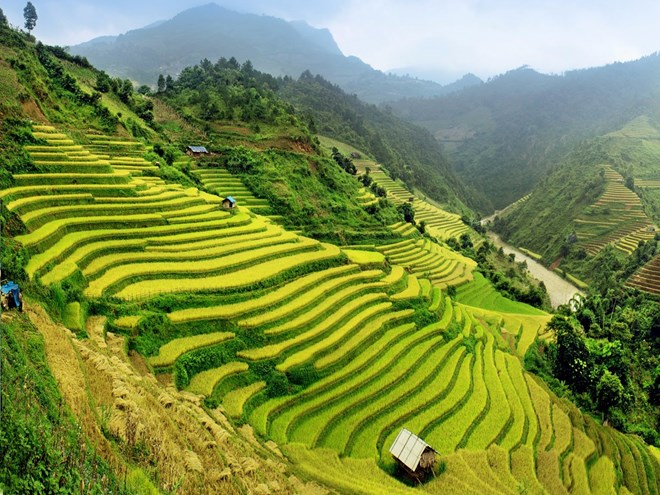 - Le Vietnam parmi les 20 meilleurs pays à visiter