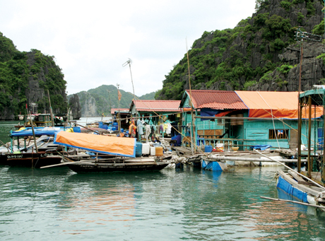 Bảo tồn làng chài truyền thống trên Vịnh Hạ Long