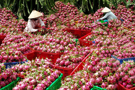Fruit and vegetable exports likely to hit USD2 billion