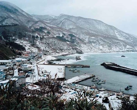 - Exposition de photos sur Tohoku, région japonaise dévastée par un séisme