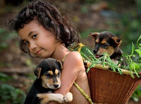 - Des photographes vietnamiens primés à l international