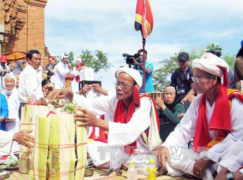Cham people’s Kate festival opens in Ninh Thuan