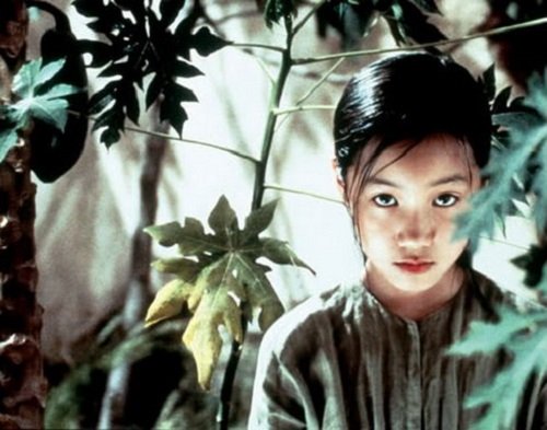 Vietnamese film listed among 100 best Asian films