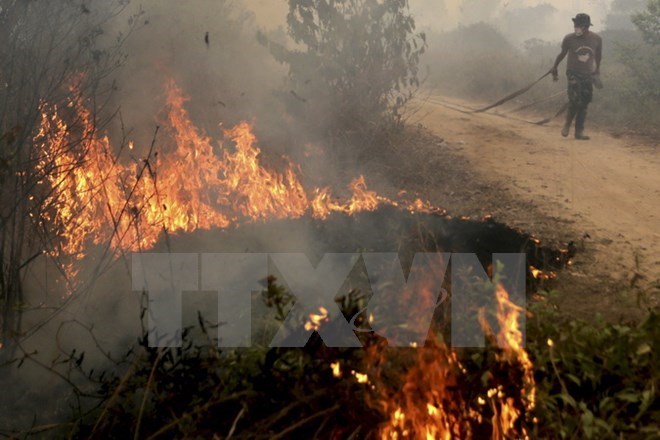 Number of hot spots in Indonesia drops