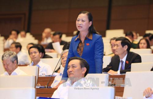 Các chương trình mục tiêu quốc gia đã góp phần quan trọng vào quá trình thực hiện các mục tiêu phát triển kinh tế xã hội của đất nước