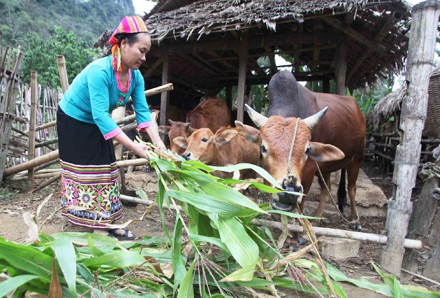 Tín dụng chính sách tiếp sức vùng khó khăn
