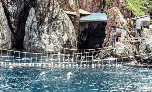 Khánh Hòa Khai thác gắn liền với bảo vệ đảo yến, góp phần phát triển bền vững biển đảo