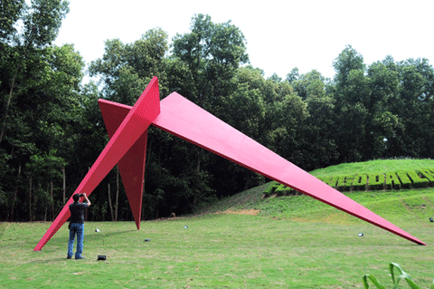 观赏“林中艺术”