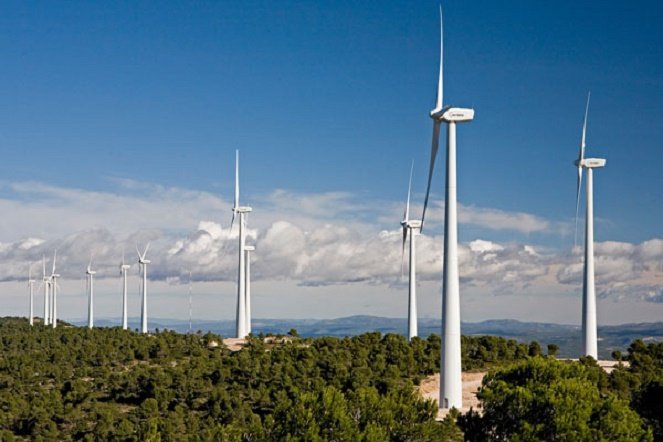 Vietnam, Germany cooperate on wind energy