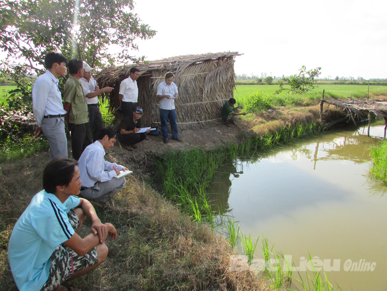 Tổng cục Thủy sản - Bộ NN PTNT khảo sát, đánh giá hiện trạng tôm - lúa 2 huyện Phước Long và Hồng Dân