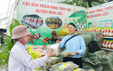 Quảng Ninh Ban hành Bộ Tiêu chí đánh giá và phân hạng sản phẩm OCOP