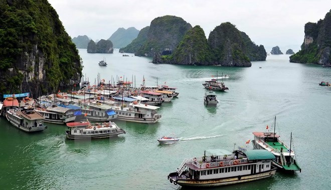 - Baie de Ha Long Quang Ninh interdit la construction de nouveaux bateaux de tourisme