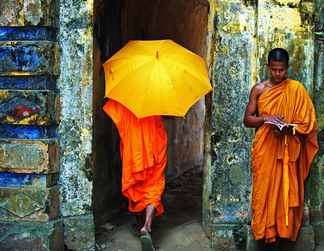 - Des photographes vietnamiens primés à un concours en Nouvelle-Zélande