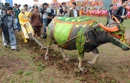 Ha Nam  ouverture de la fête du Tich Diên 2015