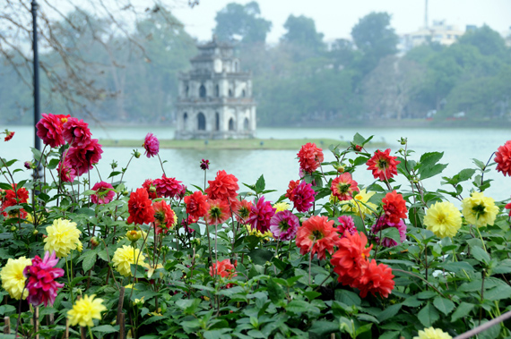 Hà Nội rực rỡ đón Tết Ất Mùi