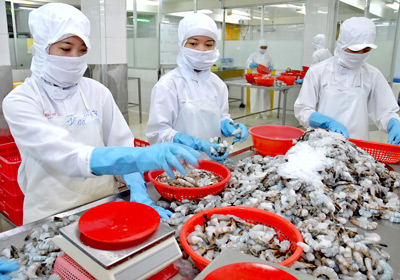 Vietnam becomes largest shrimp exporter to RoK
