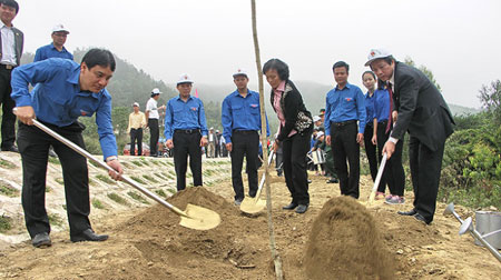 2015年植树节在武元甲大将墓区启动