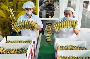 Indonesian firm AISA to acquire Vietnamese company