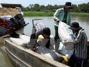 One million tonnes of rice to be purchased for stockpile