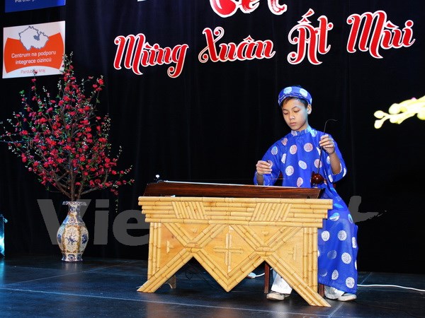 Overseas Vietnamese welcome Tet in Czech, Indonesia