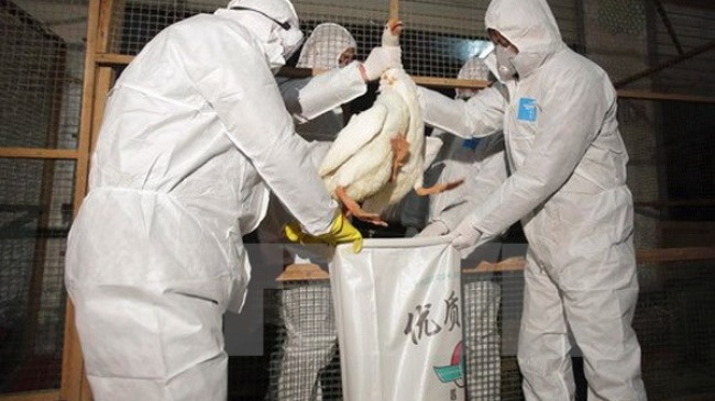 One dies in China from H7N9