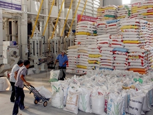 Mekong Delta exports 516,000 tonnes of rice in January