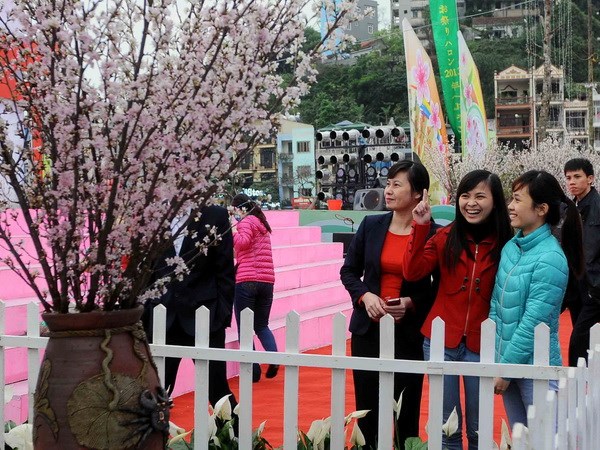 Quảng Ninh Nhiều hoạt động đặc sắc tại Lễ hội hoa Anh đào 2015