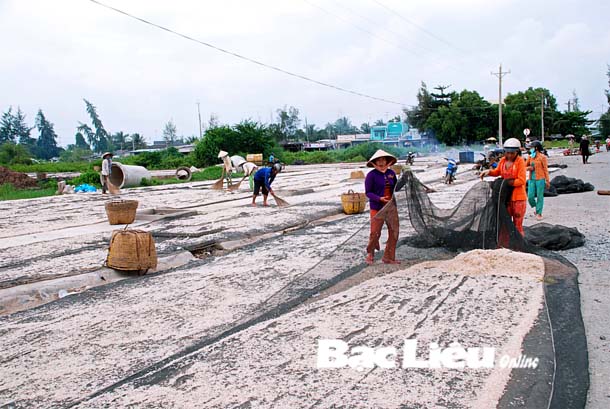 Ngư dân phấn khởi vì trúng mùa ruốc