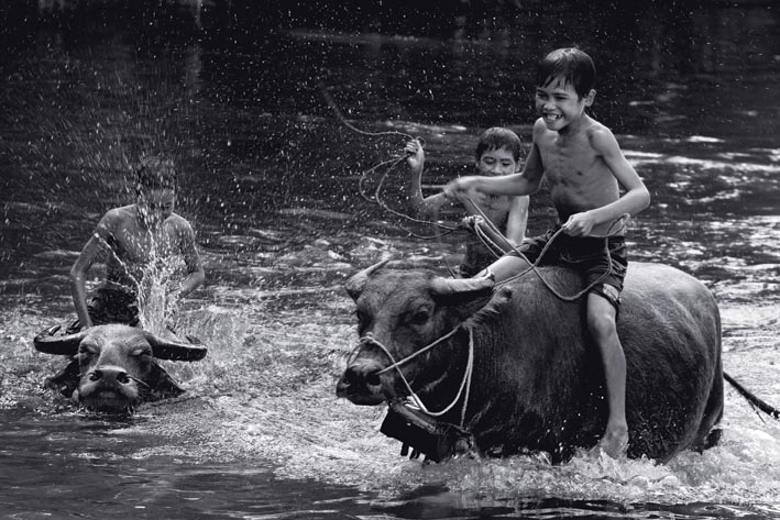 Youth Photography Festival 2015 and Vietnam Fine Arts Exhibition launched
