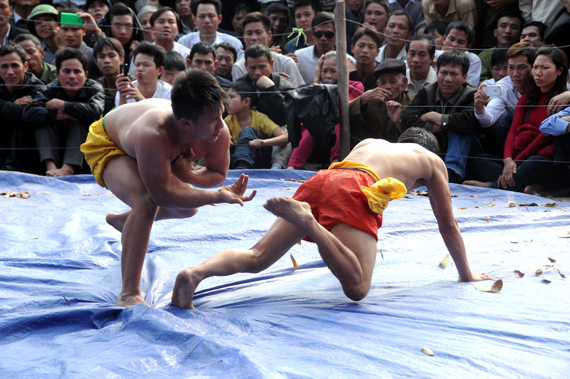 Sới vật Hội Lim