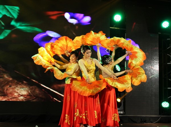 Year of Culture brings Vietnam to Czech