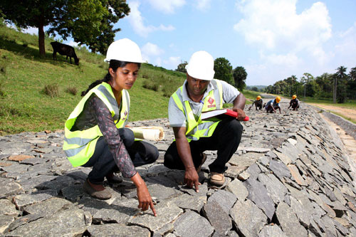 ILO Vẫn còn tồn tại nhiều khoảng cách chênh lệch nam – nữ trong lao động