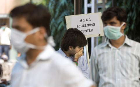 Swine flu outbreak kills about 1,500 in India