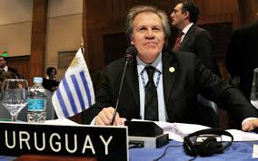 OAS elects new Secretary General