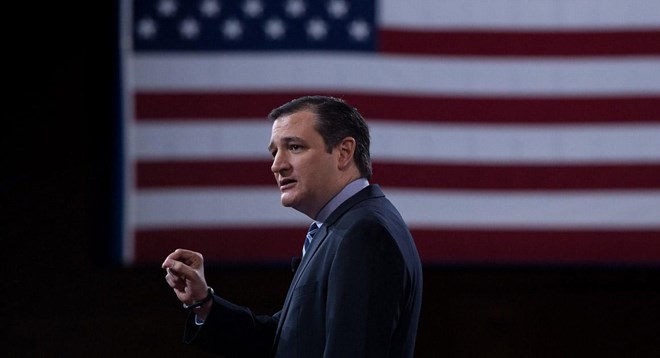 US Senator Ted Cruz to participate in 2016 presidential election