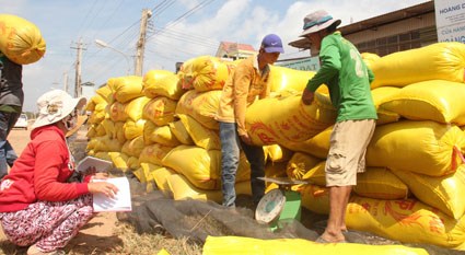 Seventeen banks to offer loans for rice rerverse