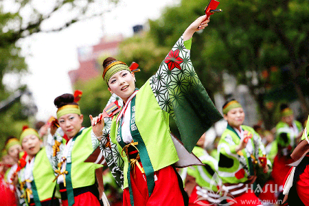 Hanoï  Préparation pour la fête des fleurs de cerisier du Japon 2015