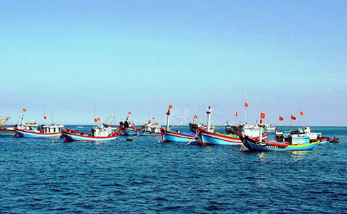 Quang Ngai prépare la Semaine de la mer et des îles du Vietnam 2015