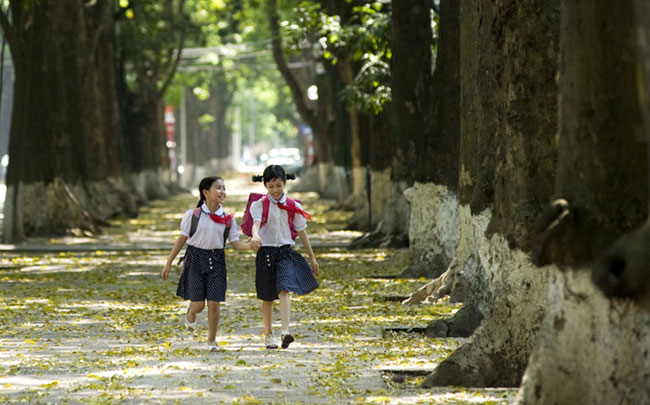 Hanoi in deciduous tree season