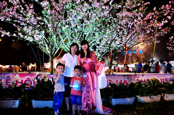Ha Long cherry blossom festival 2015 opens