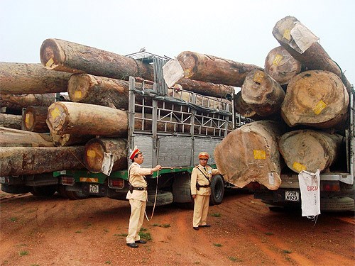 Hậu Giang kiên quyết “xóa sổ” phương tiện tự cơi nới quá khổ, chở quá tải