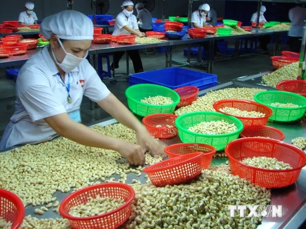 Agriculture, forestry and fishery exports hit USD9 13 billion in four months