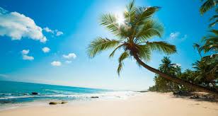 Phu Quoc island draws tourism developers